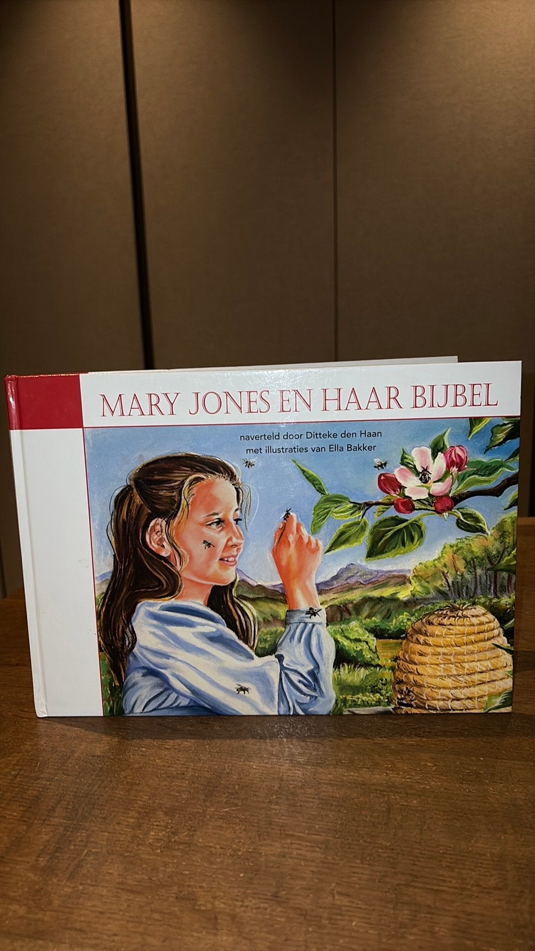 Ditteke den Haan - Mary Jones en haar Bijbel, Fictie algemeen, Ophalen of Verzenden, Zo goed als nieuw, Ditteke den Haan