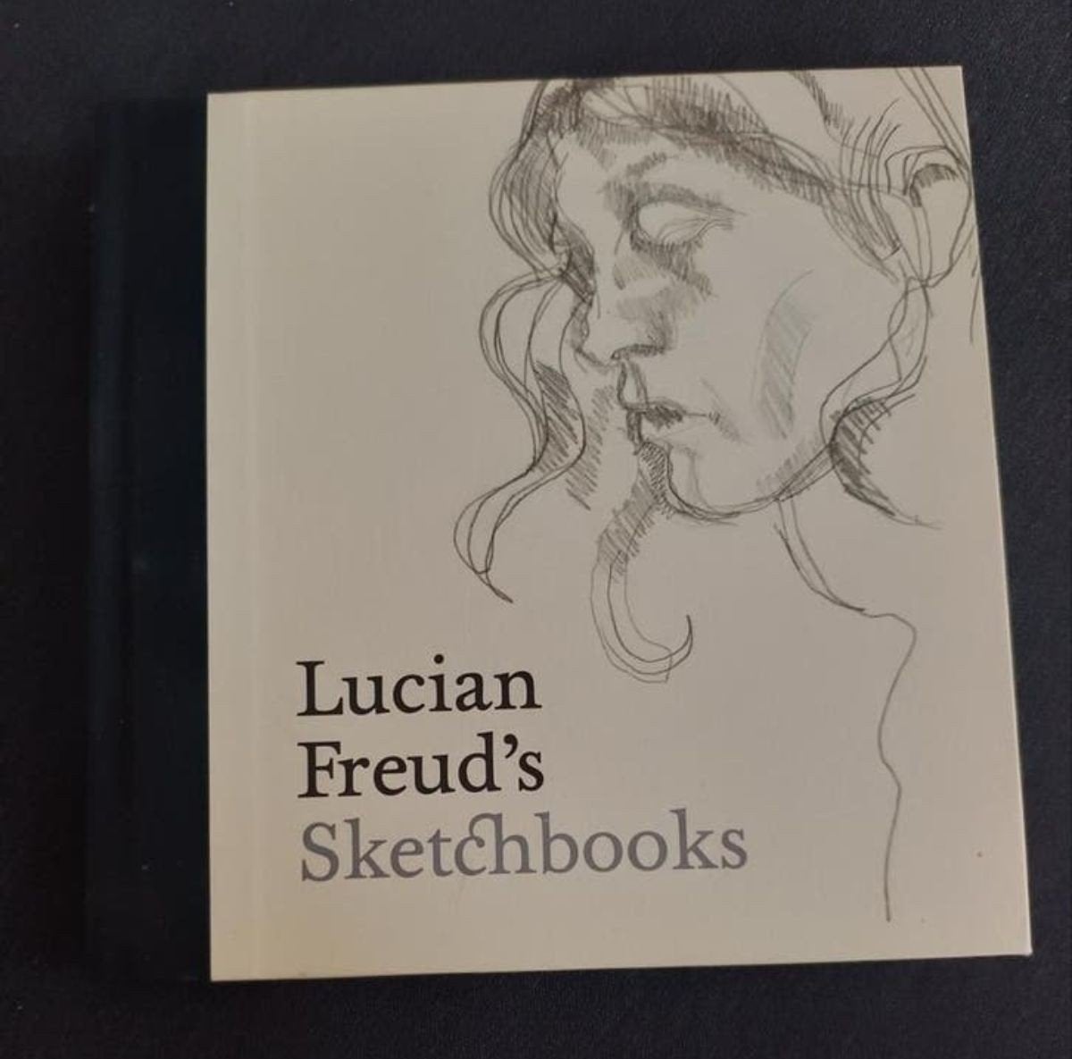 Lucian Freud's Sketchbooks, Boeken, Ophalen of Verzenden, Nieuw, Overige onderwerpen, Lucian Freud