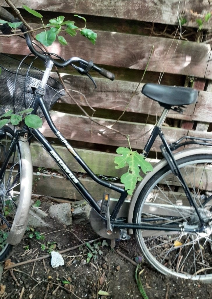 batavus damesfiets, Ophalen, Gebruikt, 47 tot 50 cm, Versnellingen