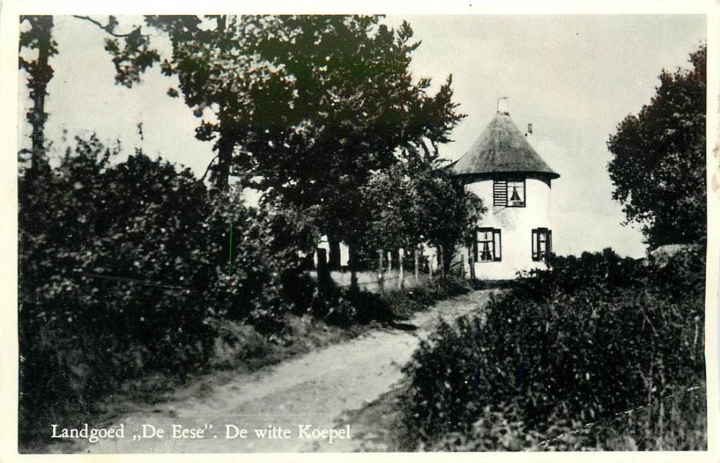701-054-011 Steenwijk  Landgoed De Eese, Verzenden, Voor 1920, Overijssel