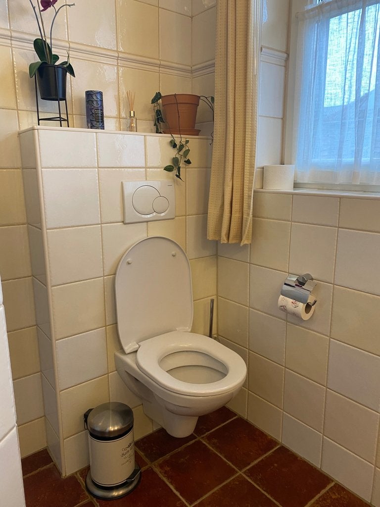 Gratis Laufen toilet + Geberit doordrukplaat, Ophalen, Gebruikt, Steen, Toilet