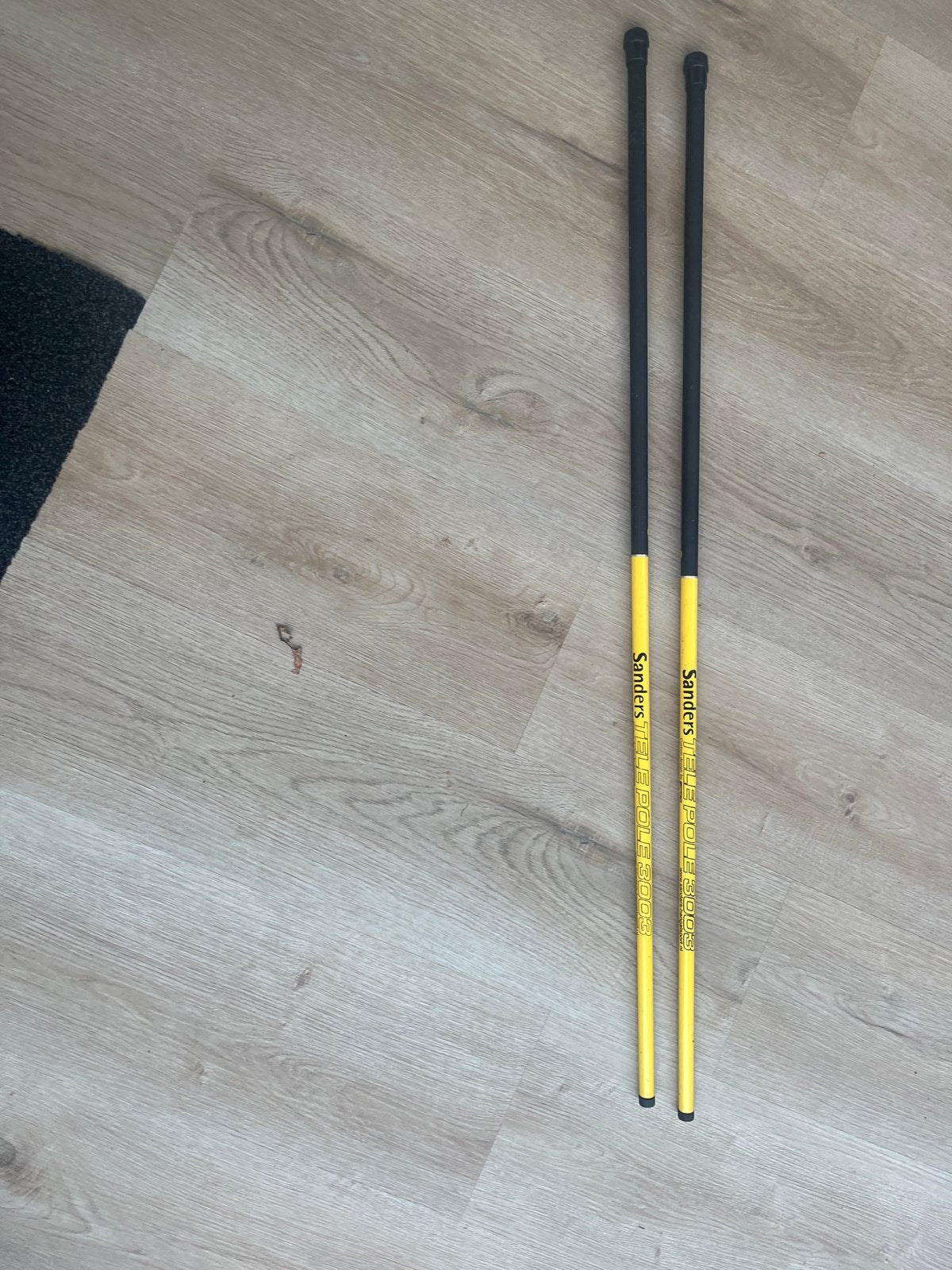 2x Telescoop hengels Sanders hengelsport 3 meter, Watersport en Boten, Ophalen of Verzenden, Gebruikt, Complete hengel