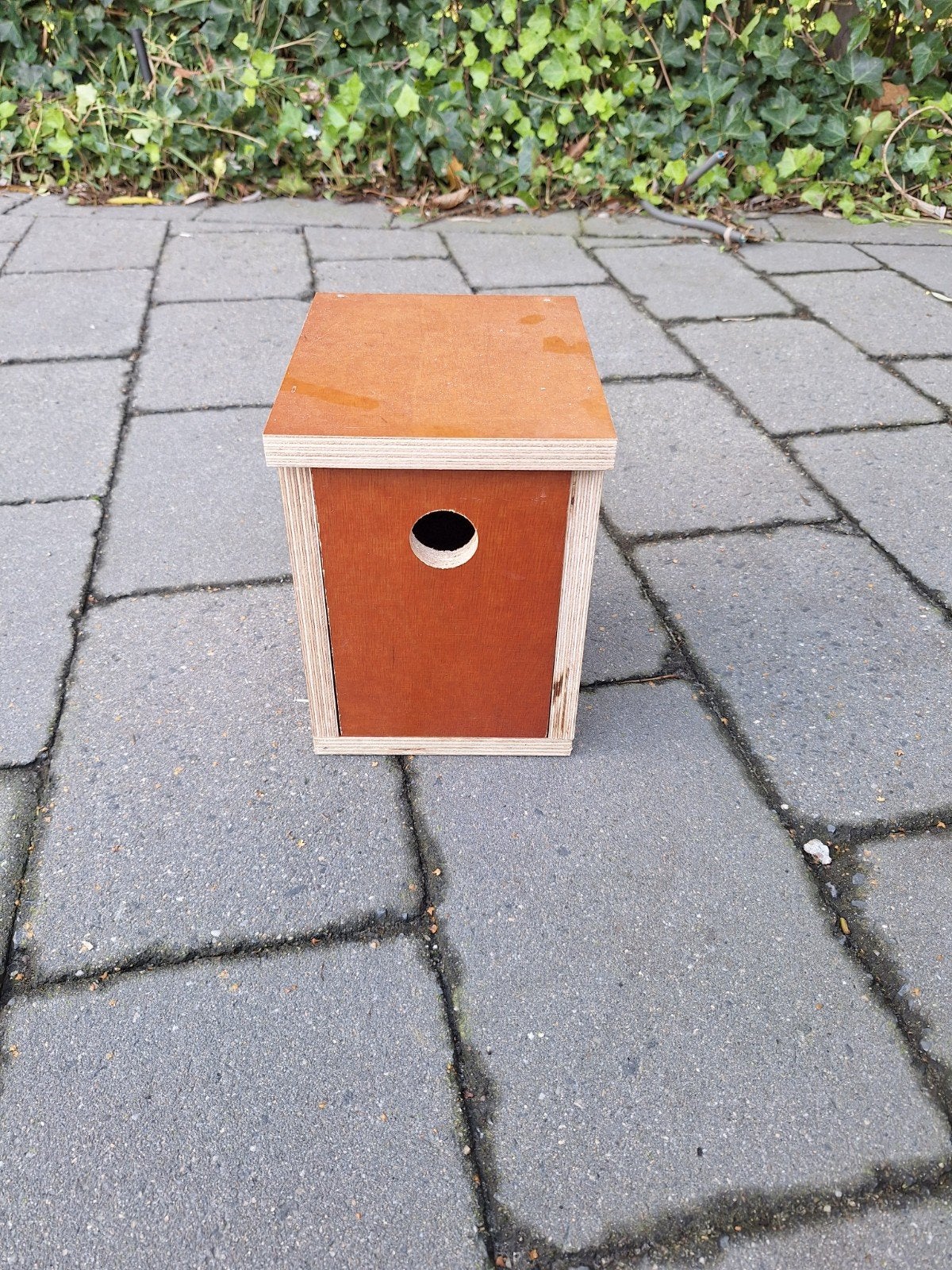 te koop koolmees nestkast, Ophalen, Nieuw, Hout, Vogelkooi