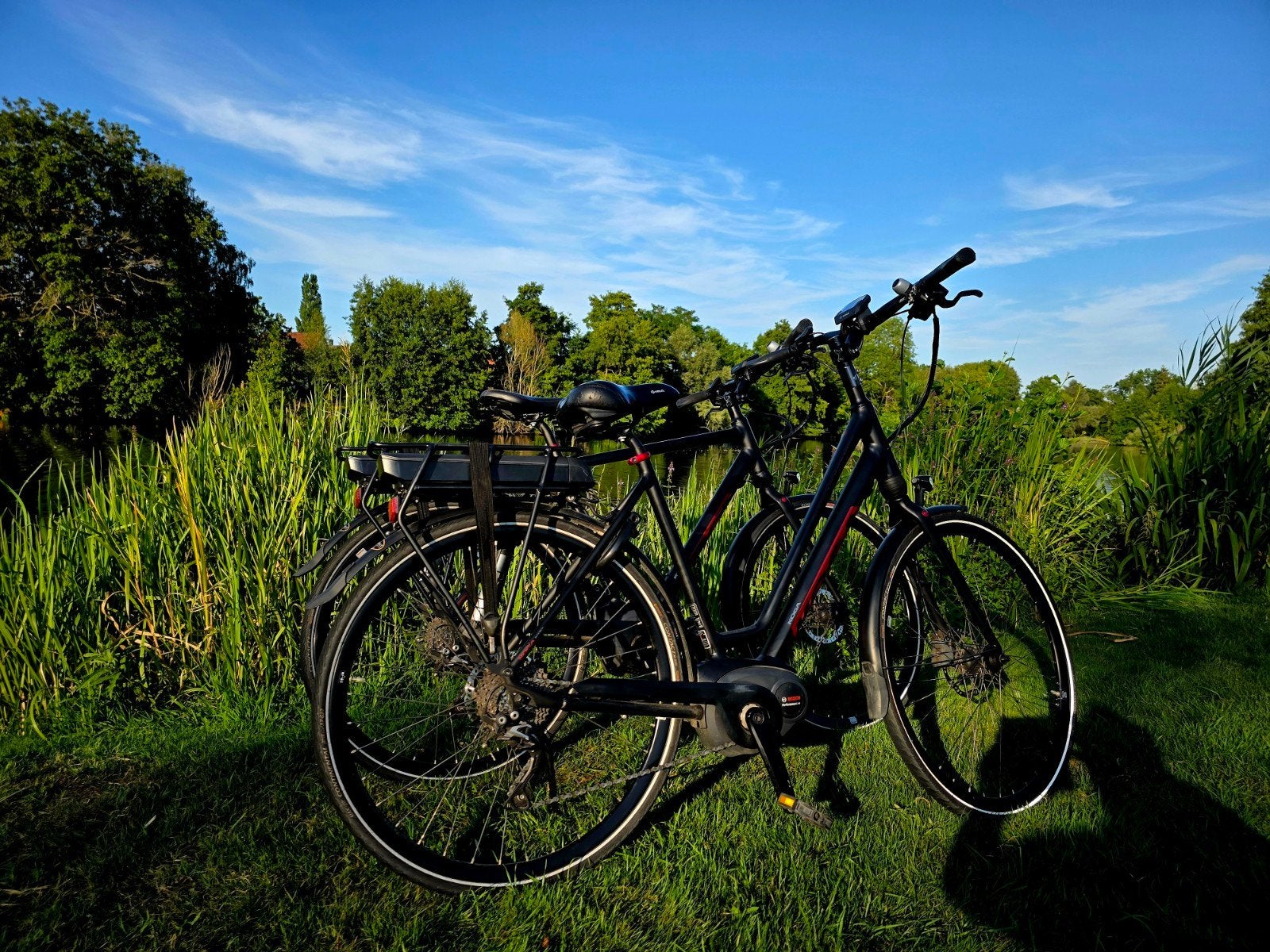 Fantastische set Koga e-bikes € 1.295, setprijs € 2.500, Zo goed als nieuw, 50 km per accu of meer, 55 tot 59 cm, Ophalen