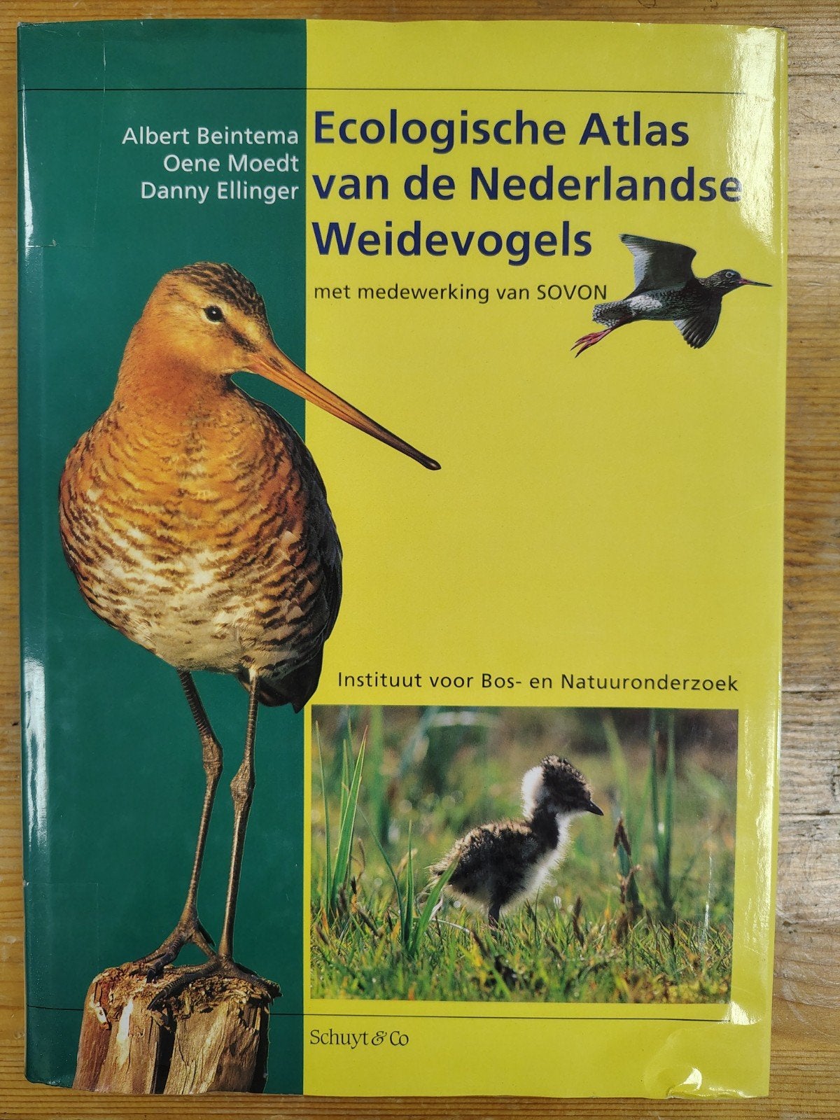 Ecologische atlas van de Nederlandse weidevogels, Boeken, Ophalen of Verzenden, Zo goed als nieuw, A. Beintema; O. Moedt