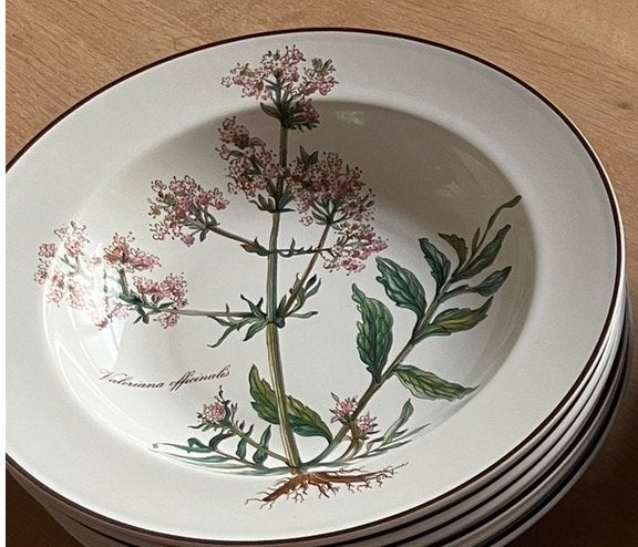 Villeroy & Boch Botanica diepe borden - Valeriana officinali, Ophalen, Klassiek, Villeroy & Boch, Zo goed als nieuw