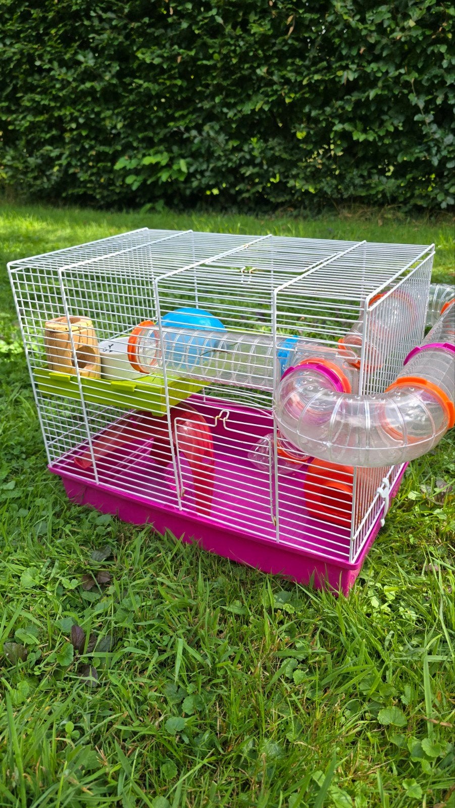 Hamsterkooi met hamster hangmat, Kooi, Minder dan 75 cm, Zo goed als nieuw, Hamster