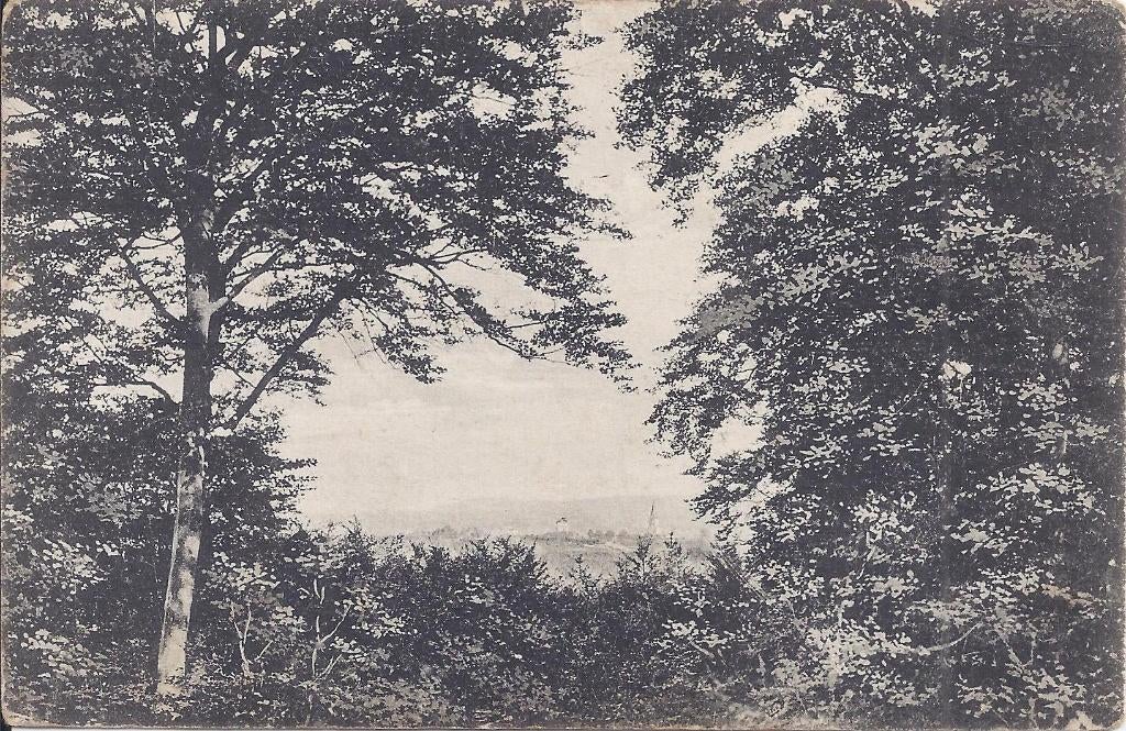 Monferland Panorama Oude Gelopen ansichtkaart ( B919 ), Ophalen of Verzenden, 1960 tot 1980, Gelopen