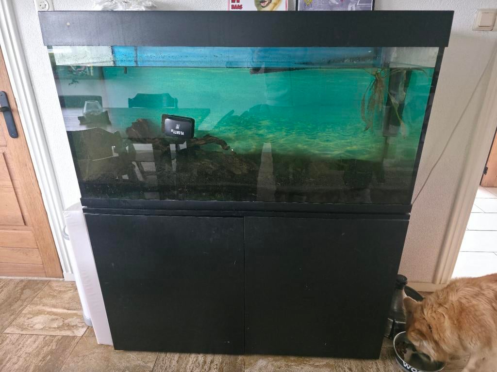 Compleet aqarium 120x 45x 60h, Ophalen, Leeg aquarium
