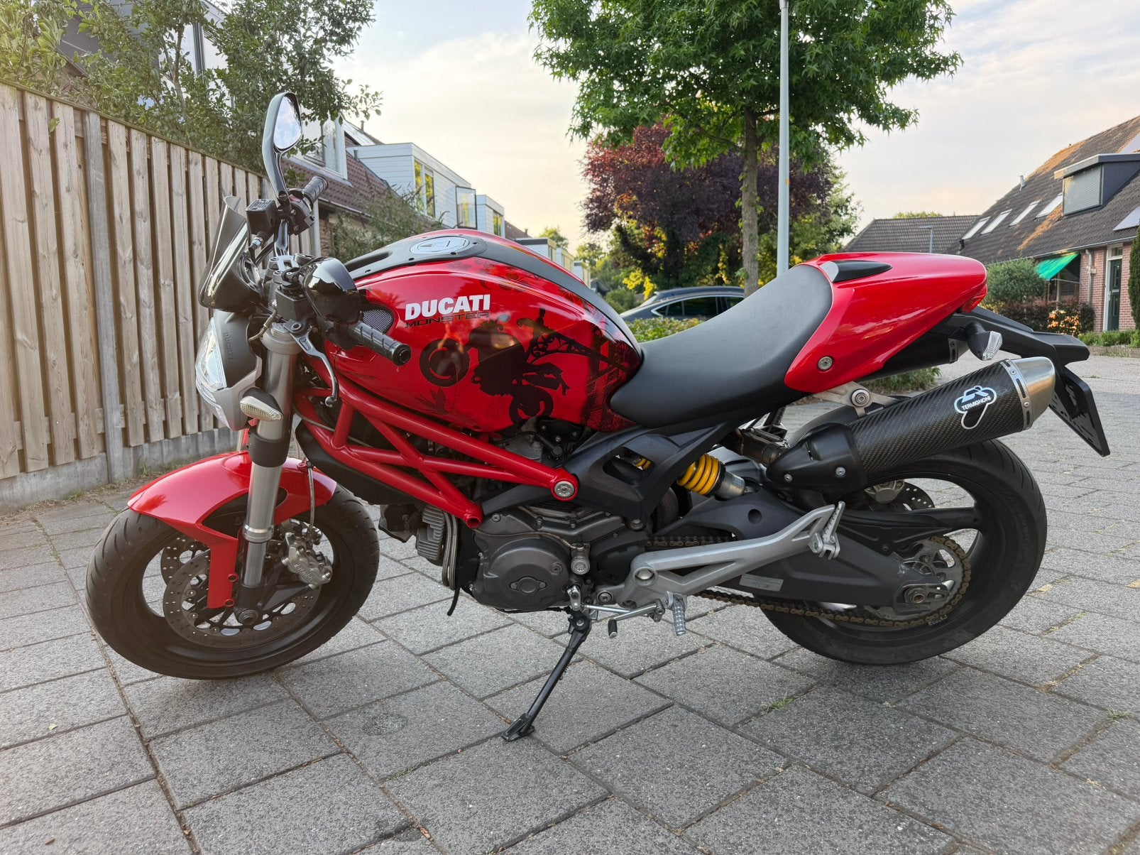 Ducati Monster 696, Particulier, Naked bike