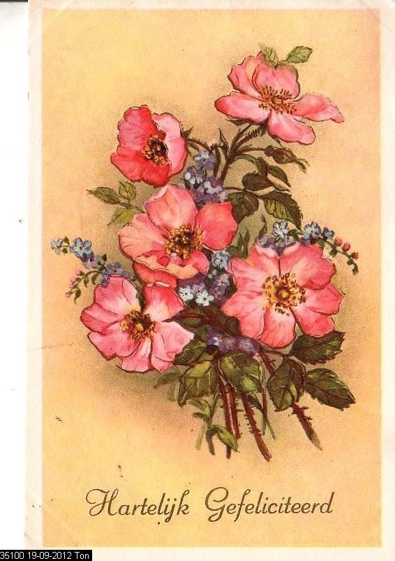 Ansichtkaart 	Hartelijk Gefeliciteerd	Bloemen, Verzamelen, Verzenden, 1960 tot 1980, Gelopen, Feest(dag)