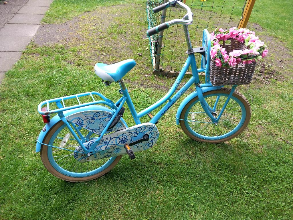 Fiets 20 inch, Fietsen en Brommers, Ophalen, Gebruikt, Spirit, Terugtraprem