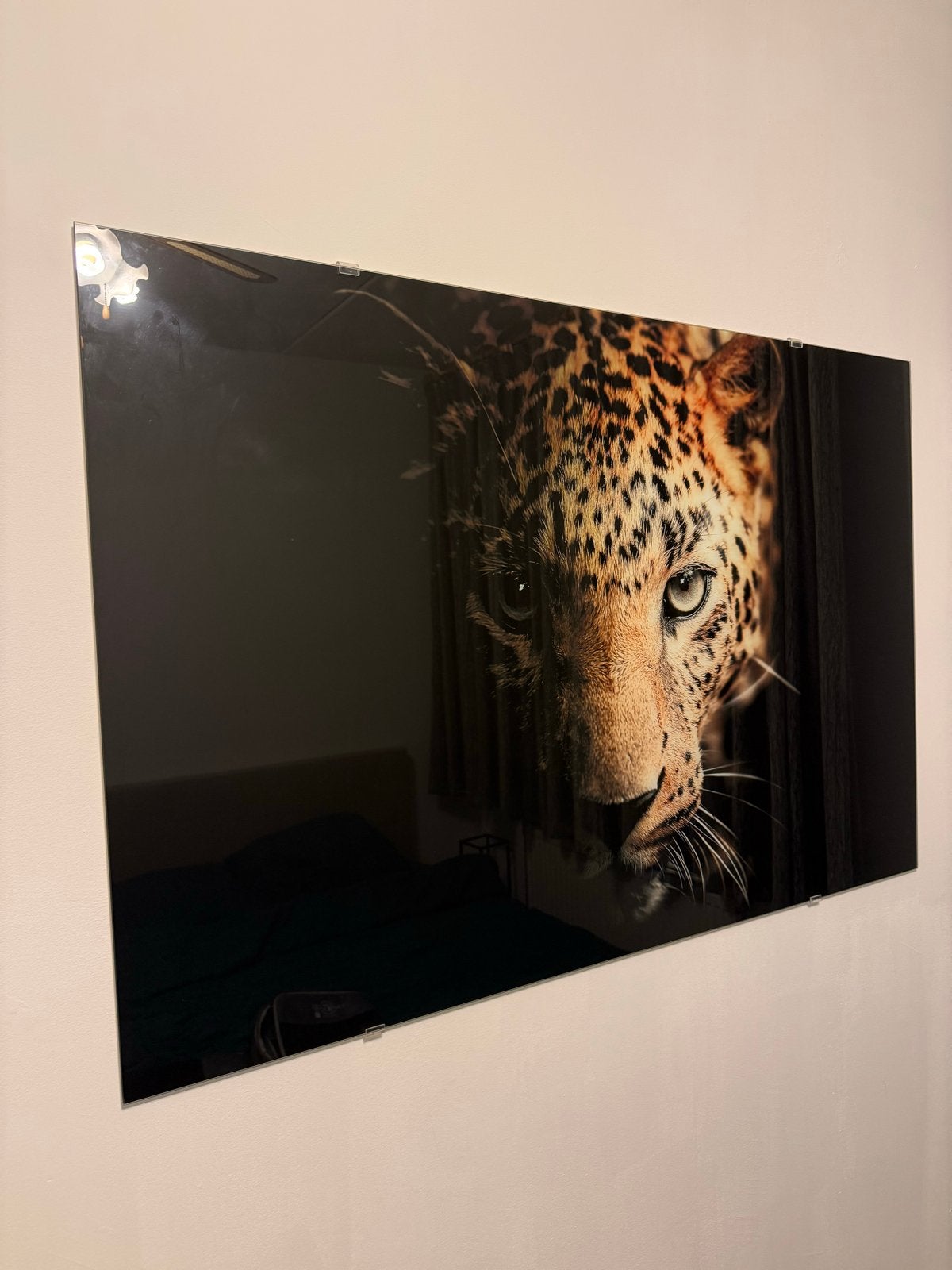 Luipaard plexiglas schilderij, Ophalen, 50 – 75, Zo goed als nieuw, Schilderij