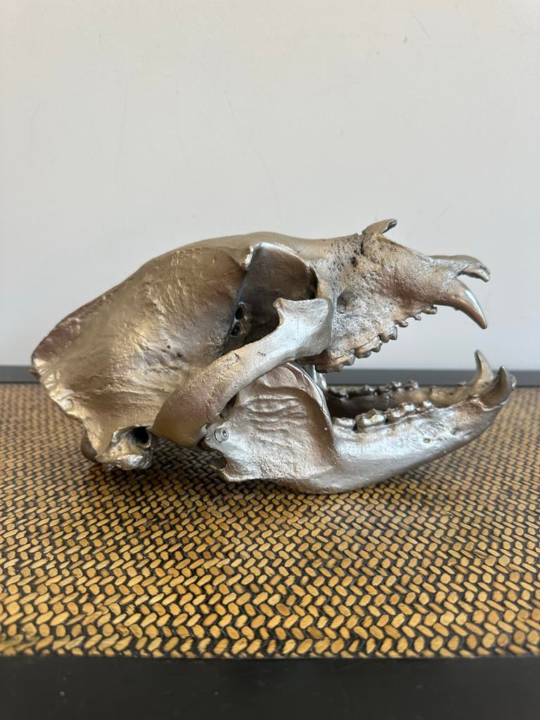 Zilverkleurige Dieren schedel Decoratie, Antiek en Kunst, Kunst | Designobjecten, Ophalen of Verzenden