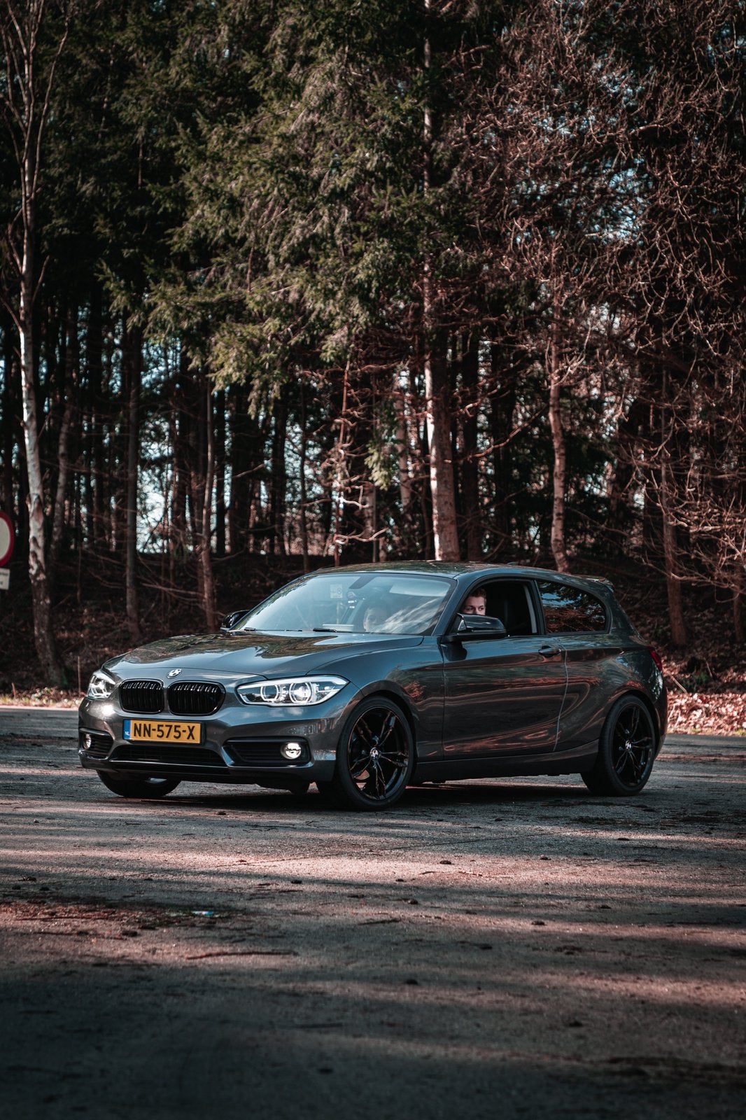 BMW 1-Serie 1.5 116I 3DR 2017 Grijs, Auto's, 1-Serie, Achterwielaandrijving, Zwart, 19 km/l