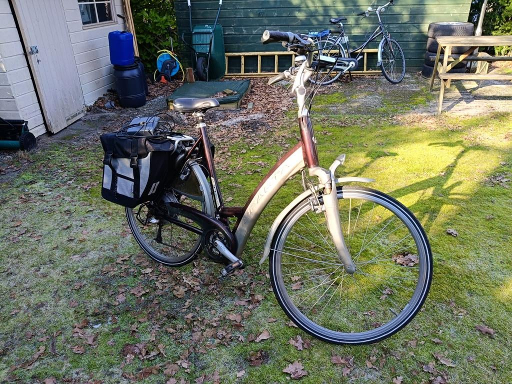 Sparta Ion Elektrische Fiets - Defecte Accu, Ophalen, Sparta, Versnellingen, 53 tot 56 cm