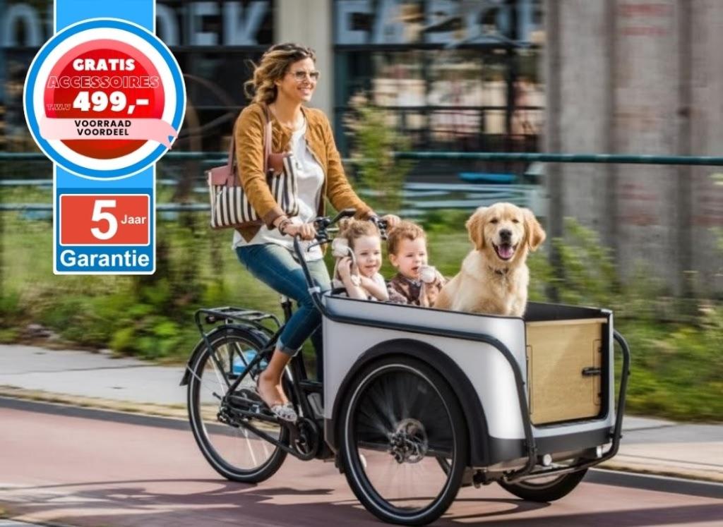 Foto 5 van Royal Cargo Bike elektrische bakfiets Nederlandse bakfietsen