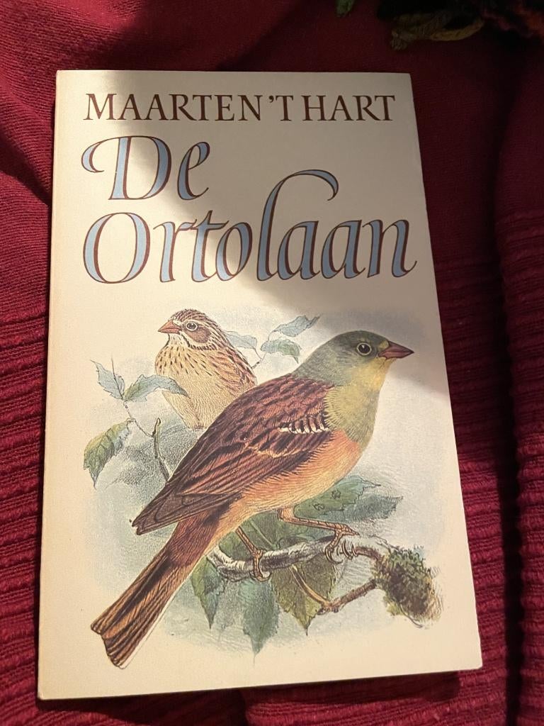 De ortolaan /m. ‘T hart /boekenweekgeschenk 1984, Ophalen of Verzenden, Zo goed als nieuw