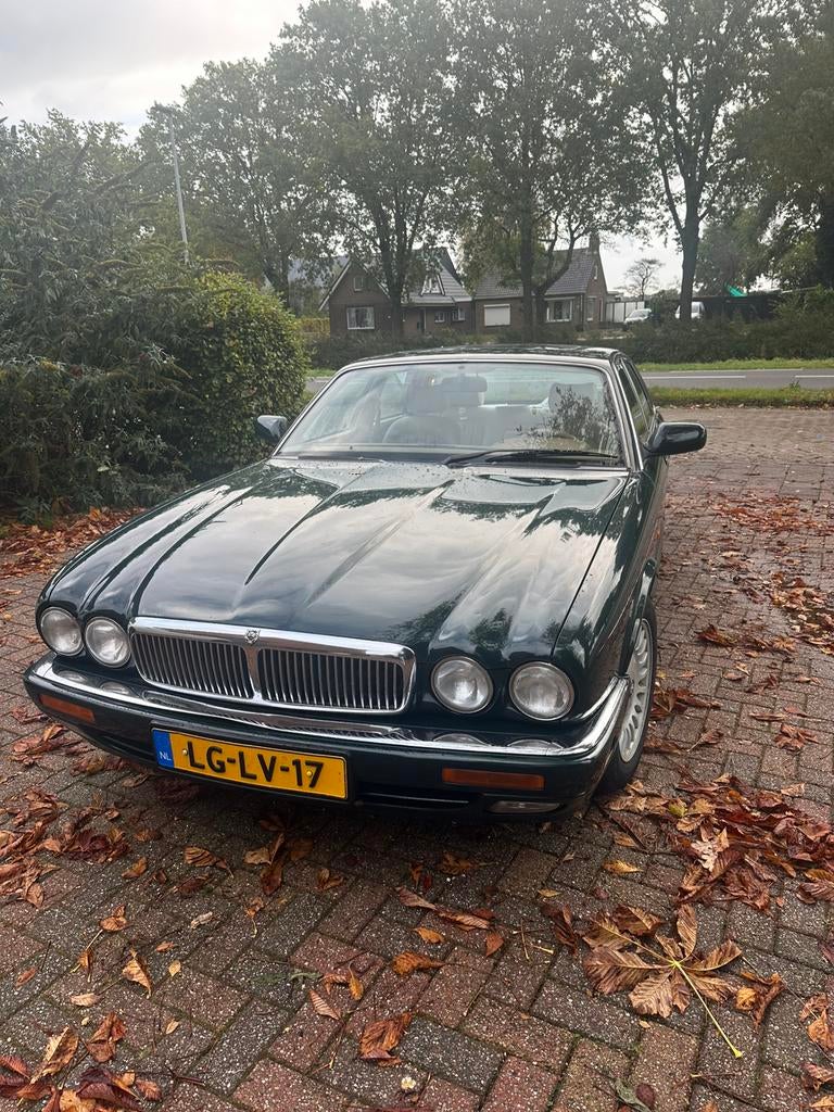 Jaguar XJ12 AUT 1995 Groen, Automaat, Achterwielaandrijving, 12 cilinders, Particulier