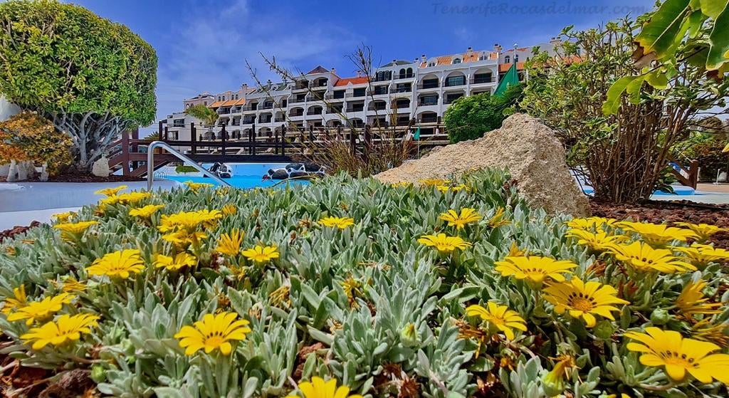 Te huur: Appartement op Rocas del Mar - Spanje - Tenerife, Vakantie, Canarische Eilanden, Dorp, Appartement, 1 slaapkamer