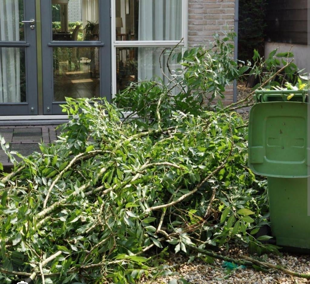 Snoeiafval / takken gezocht, Tuin en Terras, Planten | Bomen, Overige soorten, Volle zon, Ophalen of Verzenden