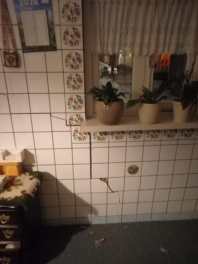 Gezocht. Oude tegeltjes met vogelmotief gezocht, Doe-het-zelf en Verbouw, Tegels, Gebruikt, Minder dan 20 cm, Minder dan 5 m²