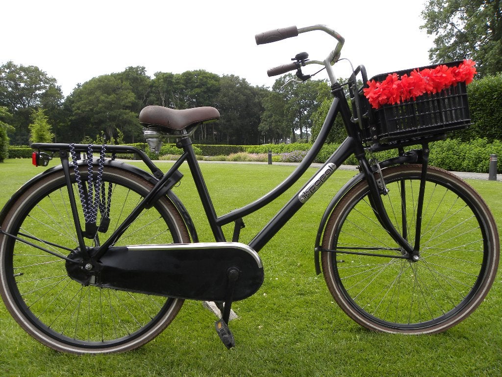 mooie 26'' popal meisjesfiets, Terugtraprem, Gebruikt, Handrem, Popal