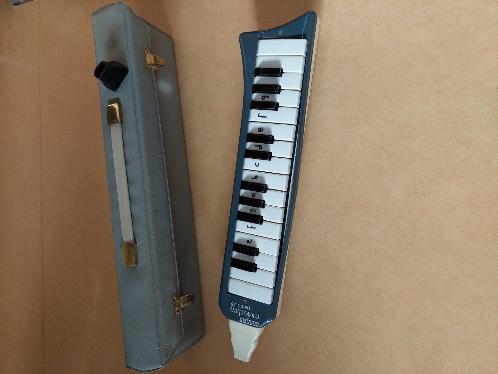 Hohner Melodica Piano 26 met koffer, Ophalen, Gebruikt, Overige soorten, Met koffer of draagtas