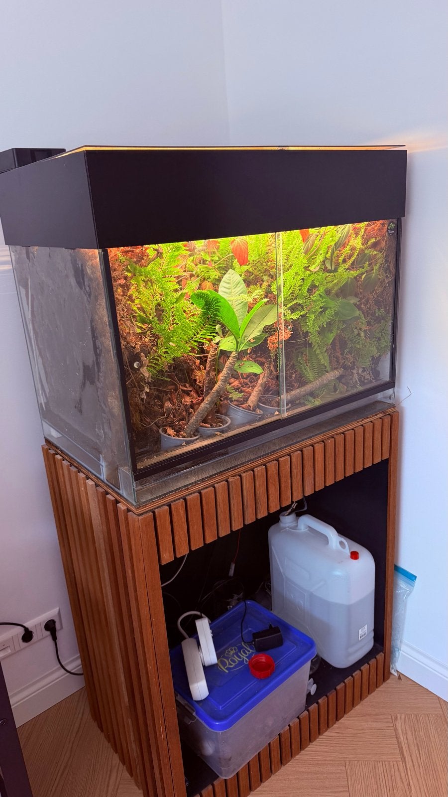 Paludarium 80x50x50, Ophalen