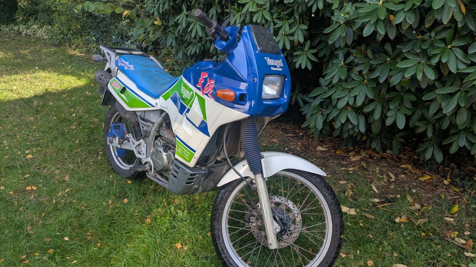 kawasaki klr650 tengai, Motoren, Ophalen