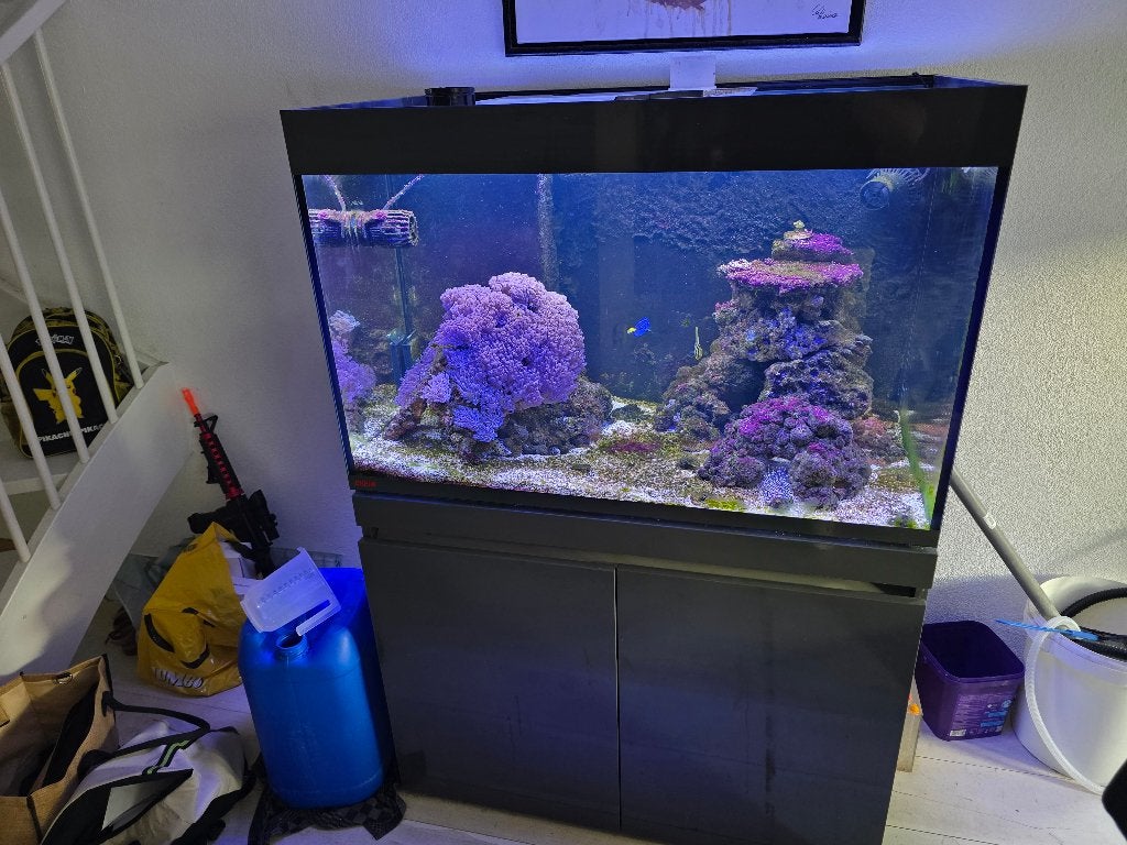 Mooi Zeewateraquarium, Dieren en Toebehoren, Ophalen, Gevuld zeewateraquarium, Zo goed als nieuw, Eheim