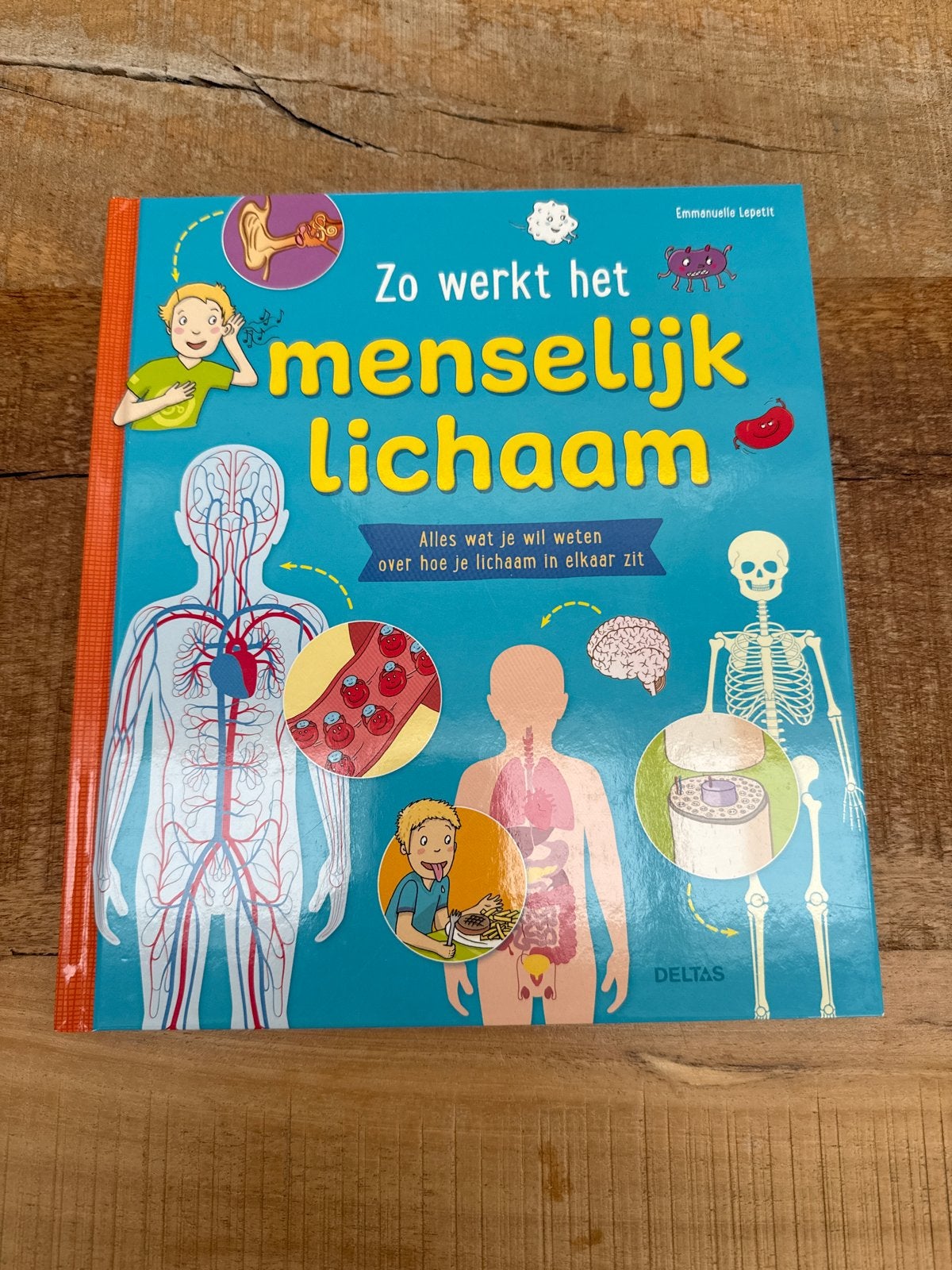 Zo werkt het menselijk lichaam - Emmanuelle Lepetit, Boeken, Kinderboeken | Jeugd | onder 10 jaar, Ophalen, Zo goed als nieuw