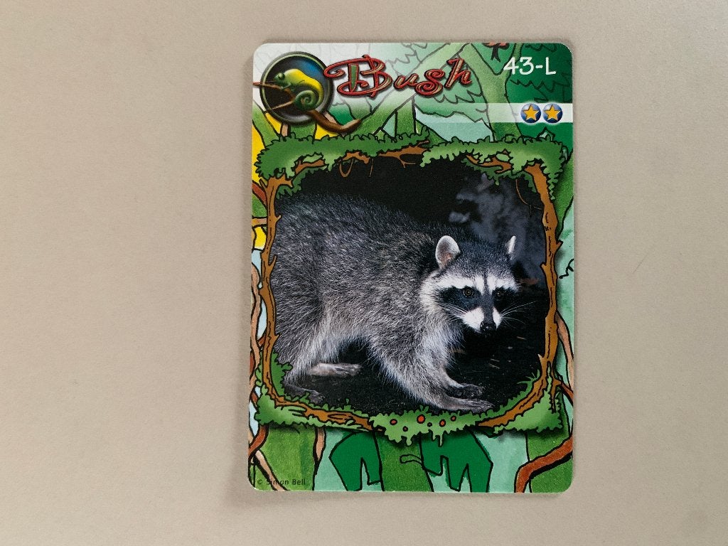 JETIX 3D jungle card Bush 43-L Wasbeer, Super de Boer, Verzenden