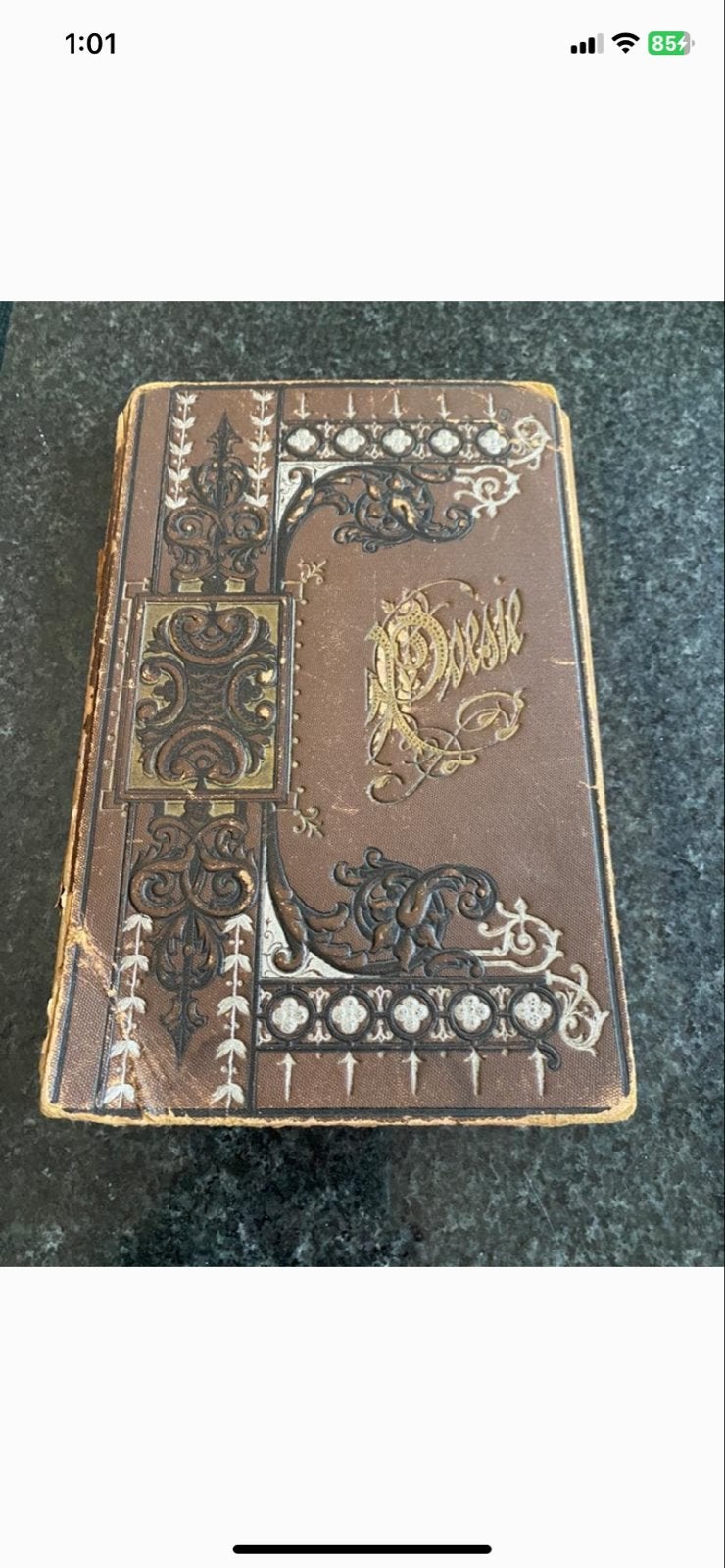 Prachtig Antiek Poëziealbum uit 1895 - Zeldzaam Verzamelobje, Antiek en Kunst, Ophalen of Verzenden