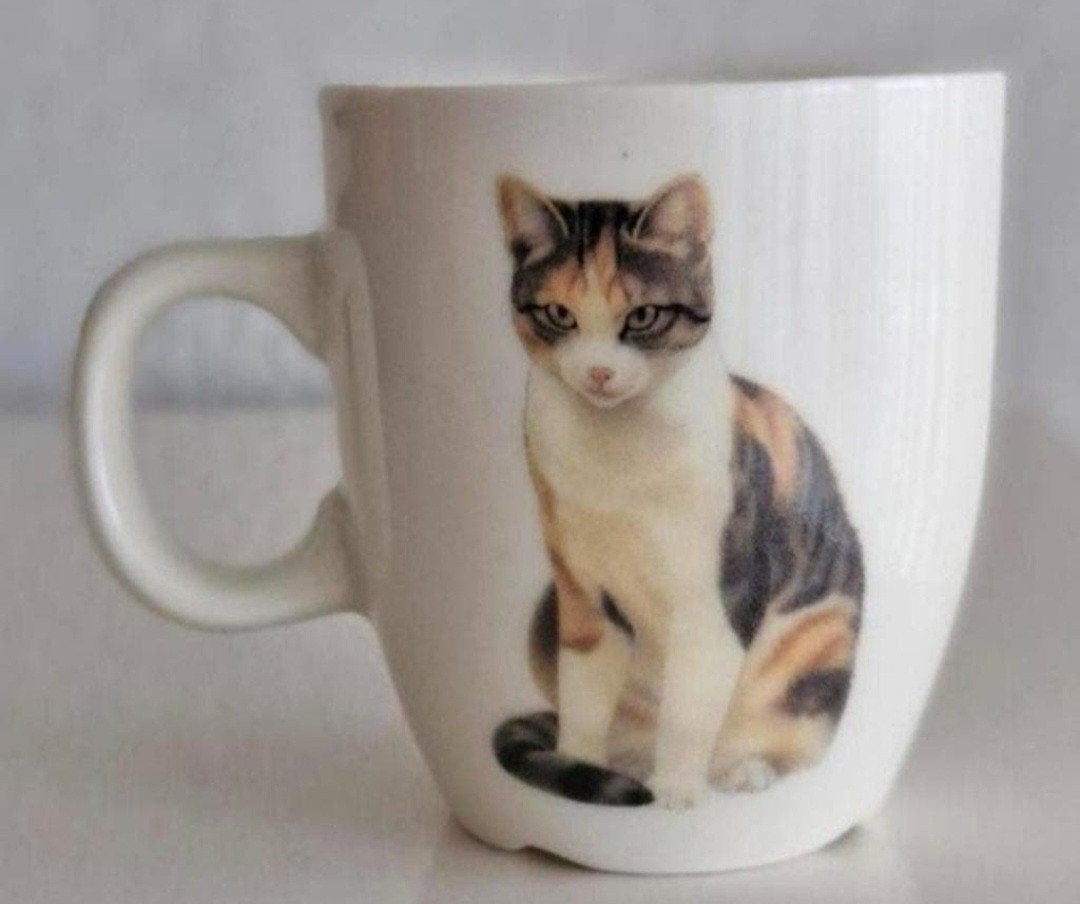 Senseobeker Francien met Katten opdrukken, Ophalen of Verzenden, Zo goed als nieuw, Overige stijlen, Kop(pen) en/of Schotel(s)