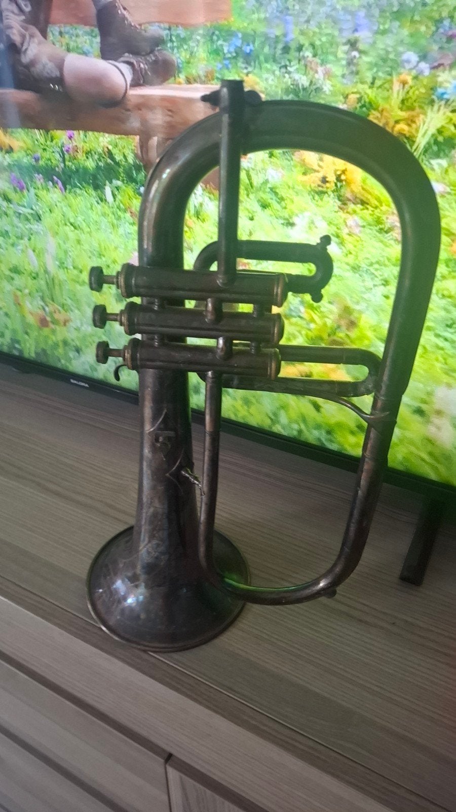 bugel ter decoratie of voor in de mancave, Ophalen of Verzenden, Gebruikt