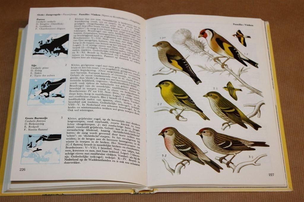 Welke vogel is dat? — Walter Černý — Thieme, Ophalen of Verzenden, Gelezen, Vogels