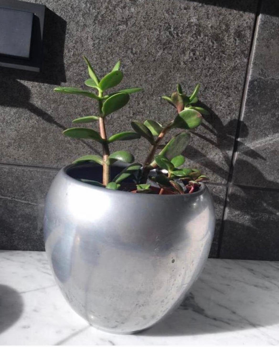 Mooie grijze metaalkleurig bloempot met plant HxD 16x16cm, Ophalen, Rond, Binnen, Zo goed als nieuw