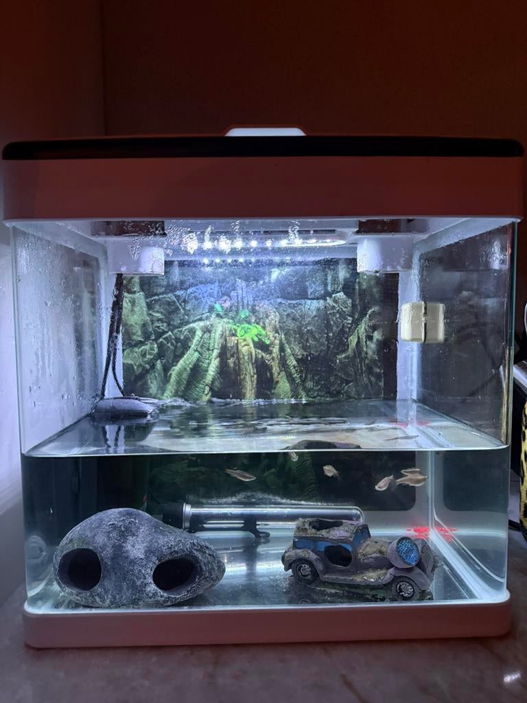 Aquarium, Ophalen, Zo goed als nieuw, Leeg aquarium