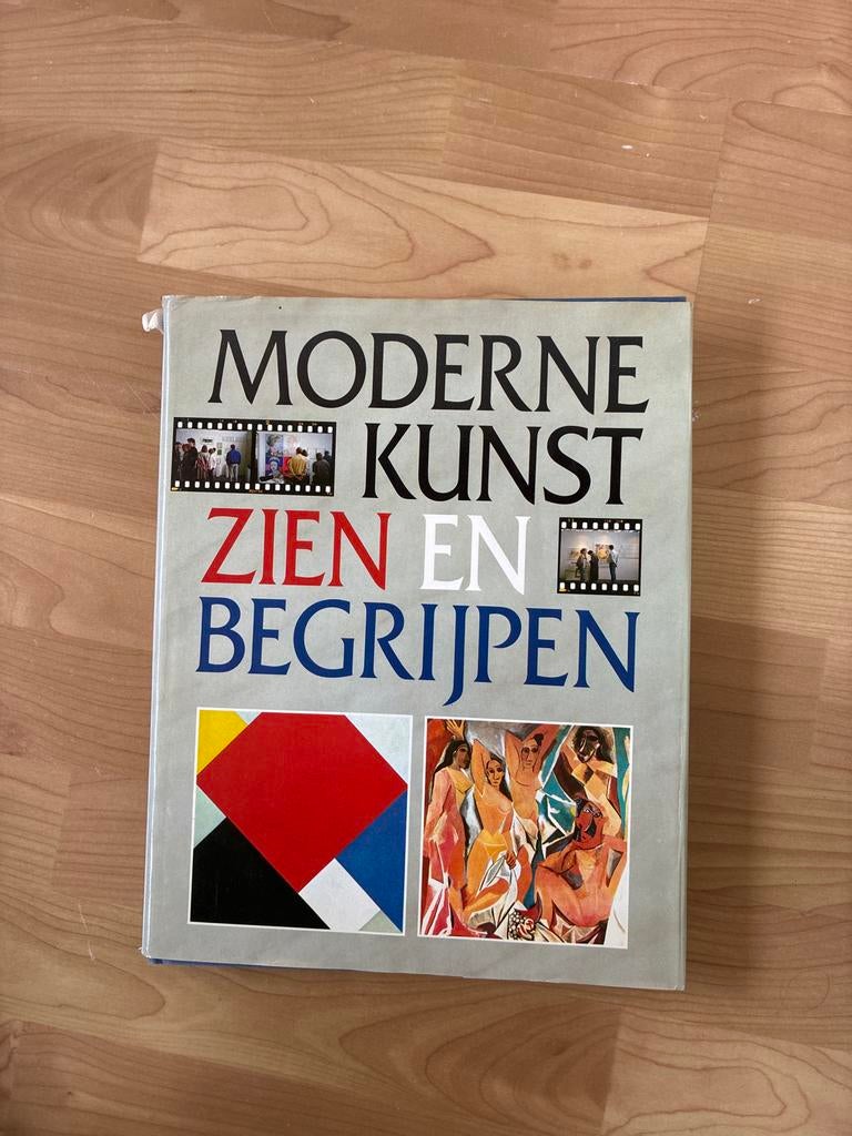 Moderne Kunst Zien en Begrijpen - Kunstgeschiedenis Boek, Ophalen of Verzenden, Zo goed als nieuw, Schilder- en Tekenkunst