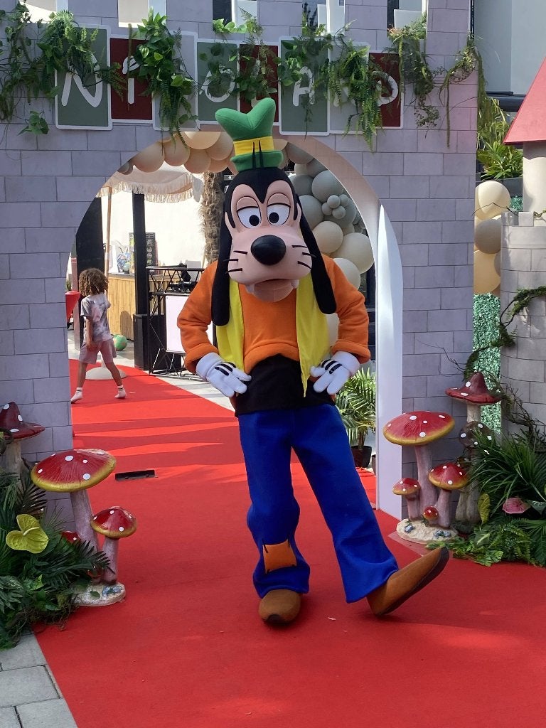 Goofy Premium Mascotte inhuren, Ophalen of Verzenden, Zo goed als nieuw