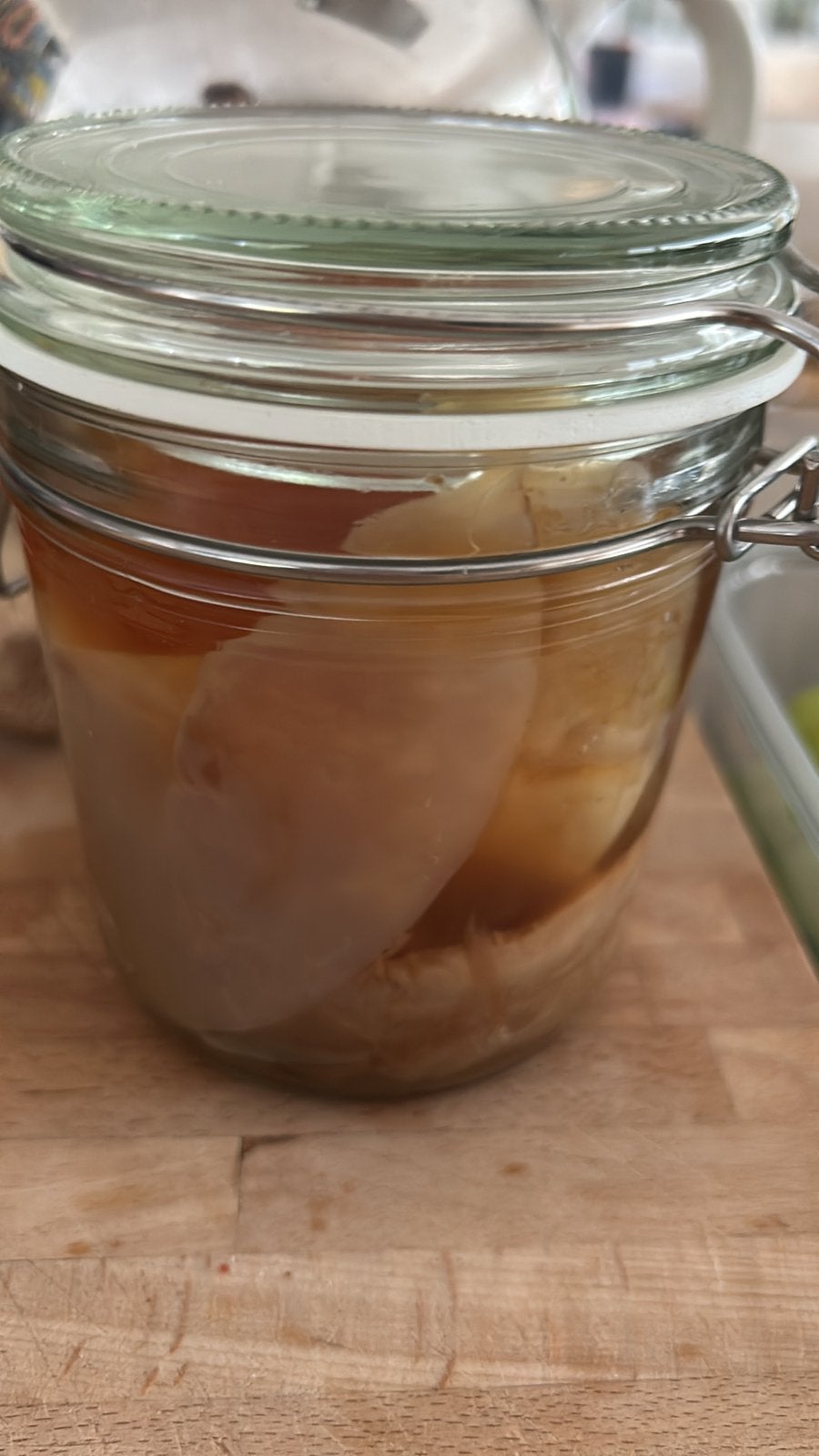 Actieve scoby en kombucha, Ophalen