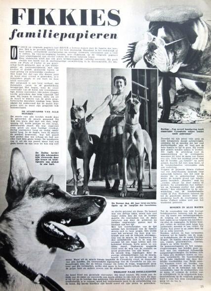 Artikel over honden 1953 Stamboom van de familie Hond, Verzamelen, Tijdschriften, Kranten en Knipsels, Ophalen of Verzenden, 1940 tot 1960