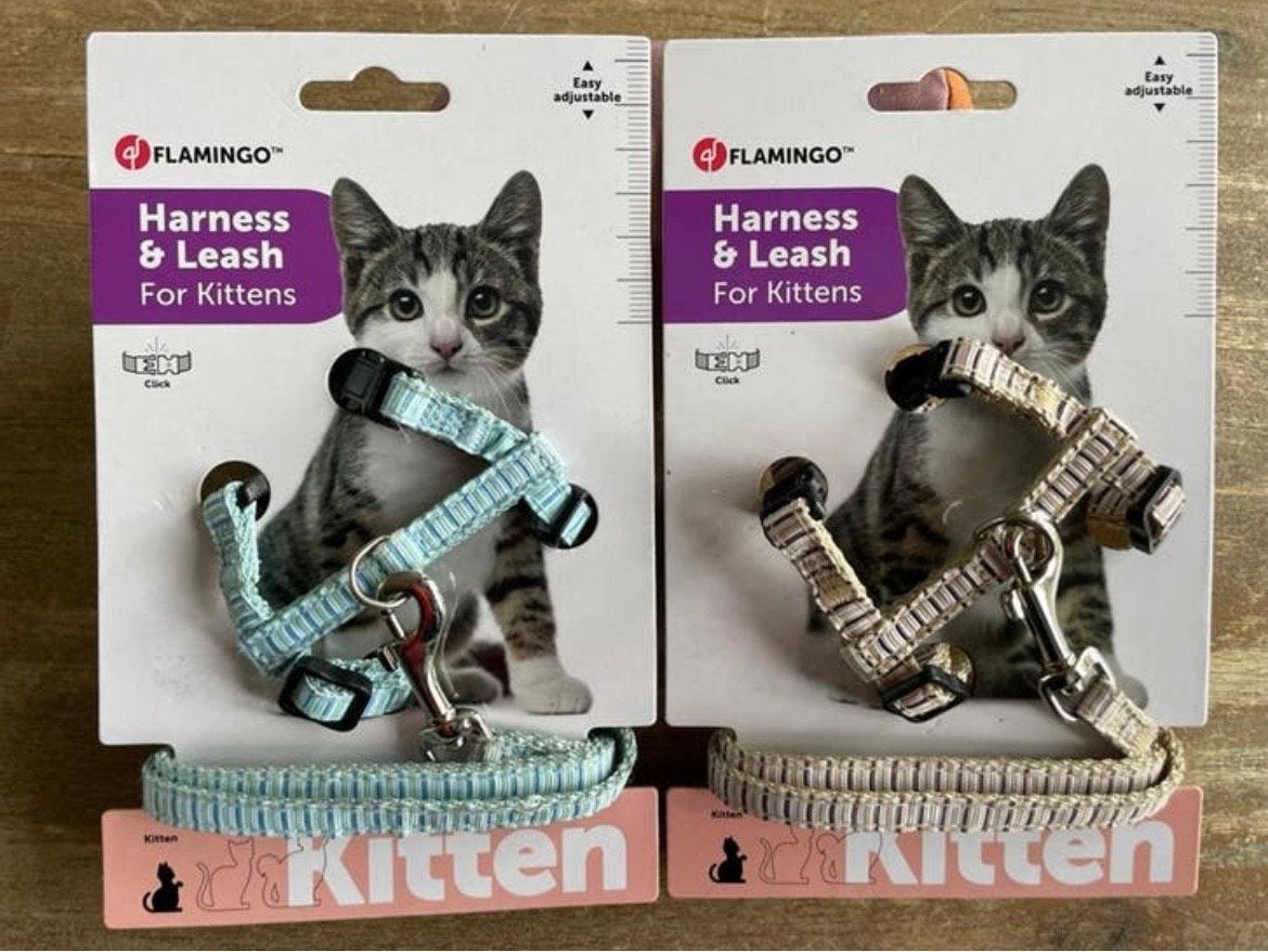 Twee kitten tuigjes met lijnen, Ophalen of Verzenden, Zo goed als nieuw