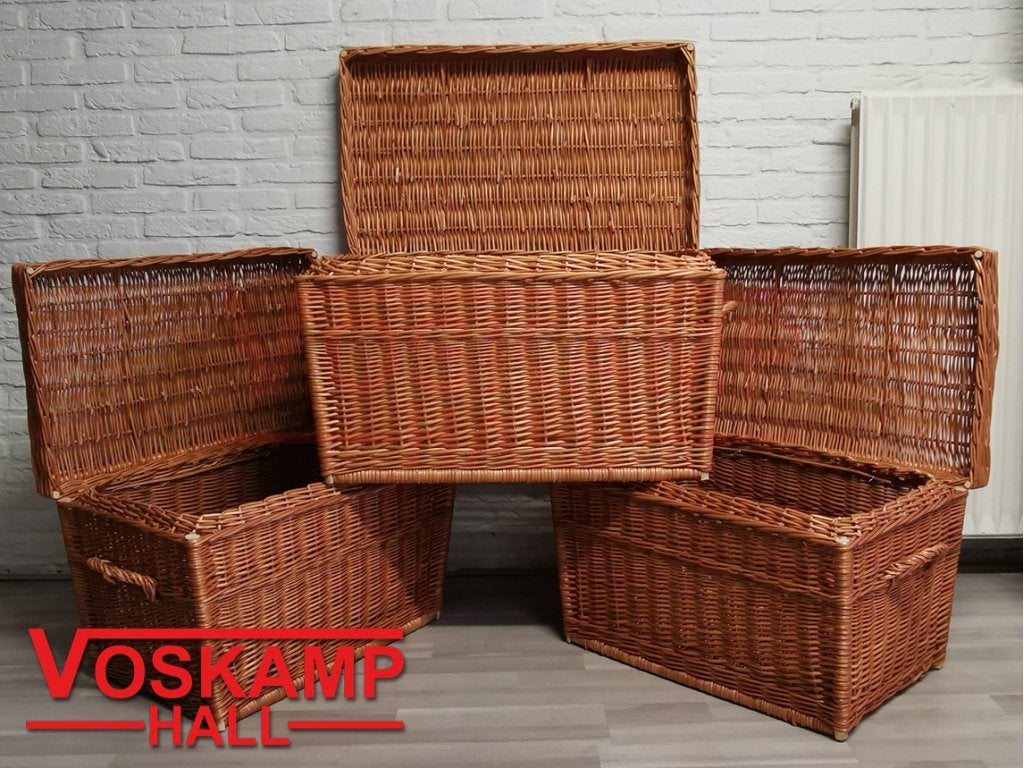 Luxe rieten picknickmand met deksel. Voskamp Hall, Overige typen, Niet ingevuld, Nieuw, Niet ingevuld