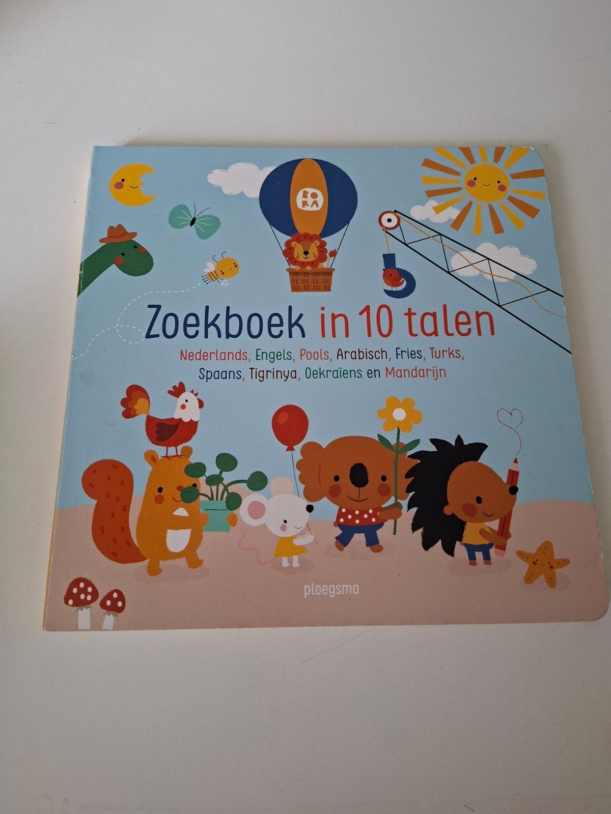 Zoekboek in 10 talen - ISK NT2 taal leren moedertaal, Zo goed als nieuw, 2 tot 3 jaar, Uitklap-, Voel- of Ontdekboek, Ploegsma