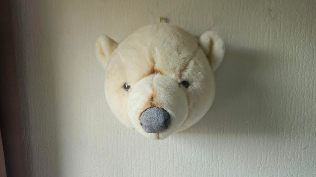 Witte berenhoofd knuffel voor aan de muur, Kinderen en Baby's, Speelgoed | Knuffels en Pluche, Gebruikt, Beer, Ophalen of Verzenden