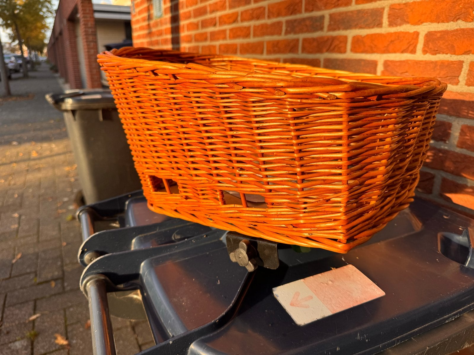 Gratis, Basil Pasja Senna fietsmand voor huisdieren 40cm, Ophalen, Nieuw, Fietsmand