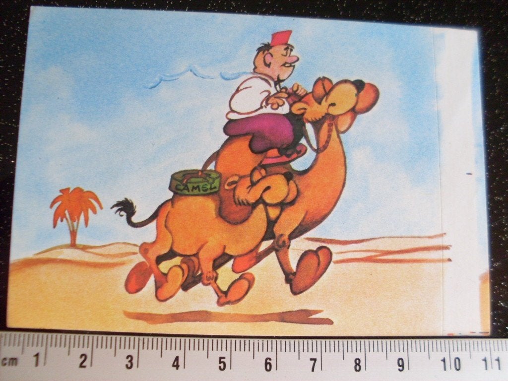 sticker camel woestijn kameel asbak humor, Verzamelen, Verzenden, Zo goed als nieuw, Merk