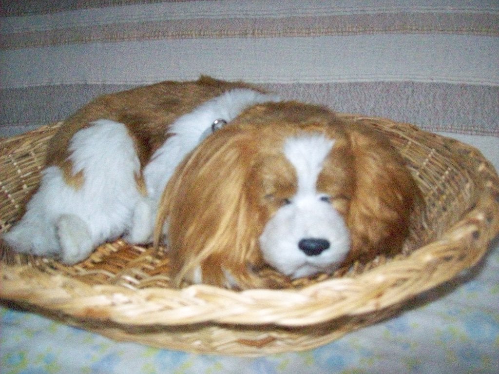 Perfect petzzz Hondjes /Hertje, Ophalen of Verzenden, Zo goed als nieuw, Hond